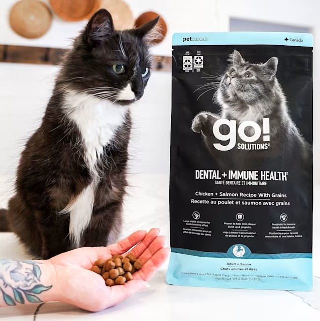 GO! - Santé dentaire & immunitaire pour chat – Image 2