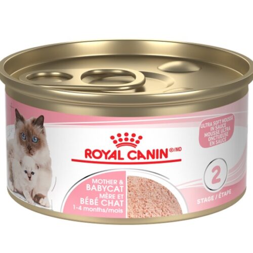 ROYAL CANIN - Conserve Formule mère et bébé 145g pour chat