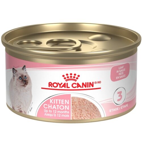 ROYAL CANIN - Conserve pâté en sauce 145g pour chaton