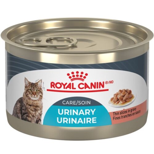 ROYAL CANIN - Conserve Soin urinaire 145g pour chats