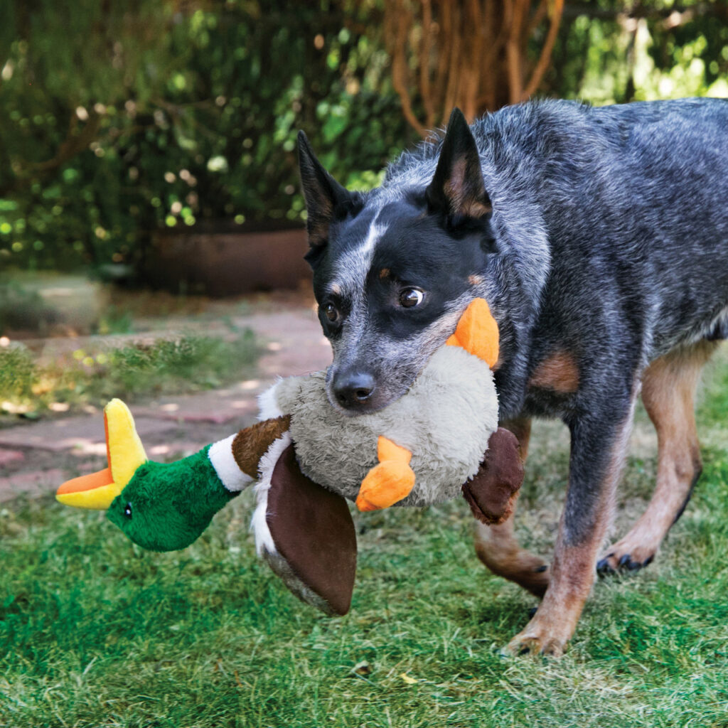 KONG - Jouet Canard Shakers pour chien – Image 2