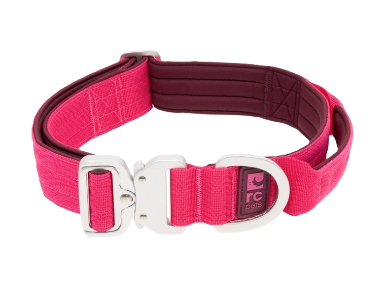 RCPETS - collier stratus pour chien – Image 5