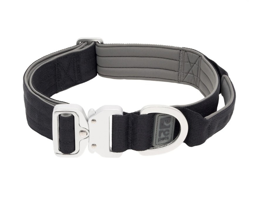 RCPETS - collier stratus pour chien – Image 6