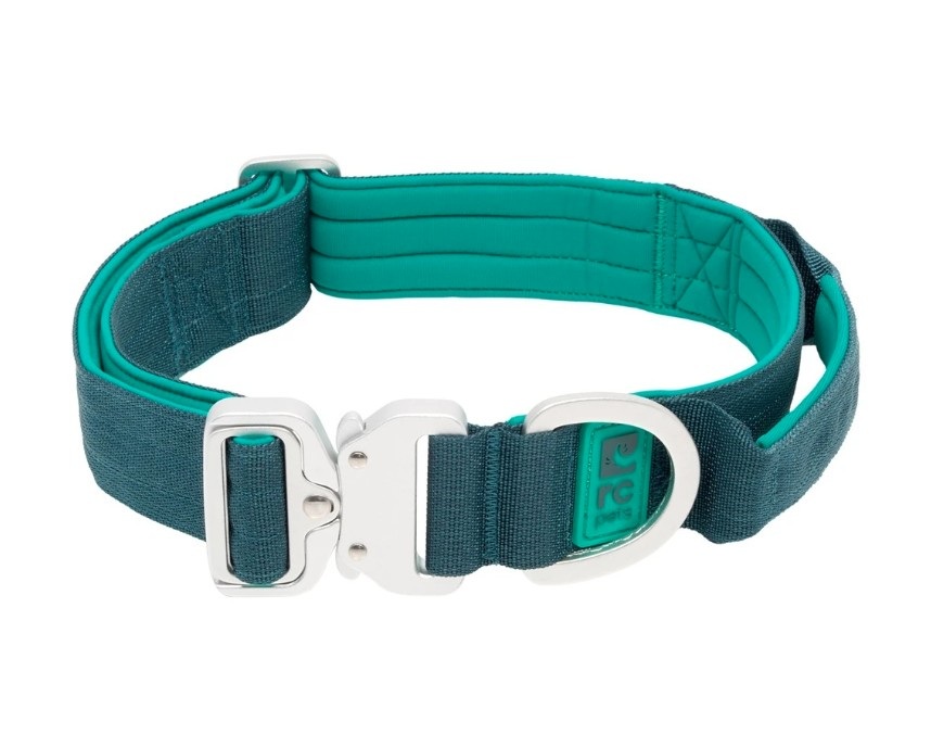 RCPETS - collier stratus pour chien – Image 4