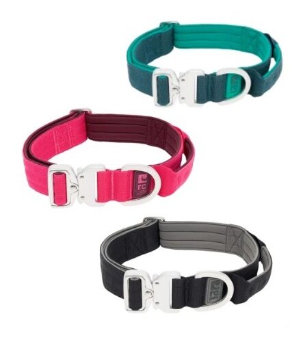 RCPETS - collier stratus pour chien