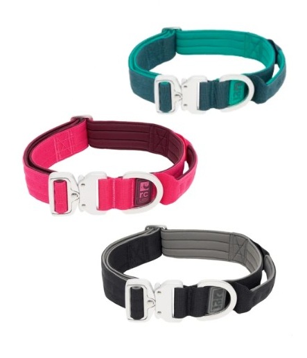 RCPETS - collier stratus pour chien