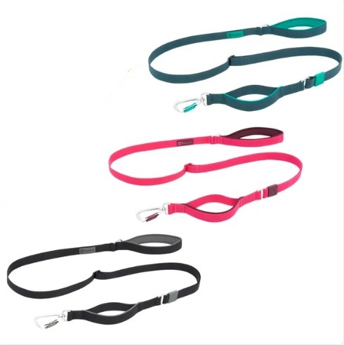RCPETS - laisse stratus pour chien