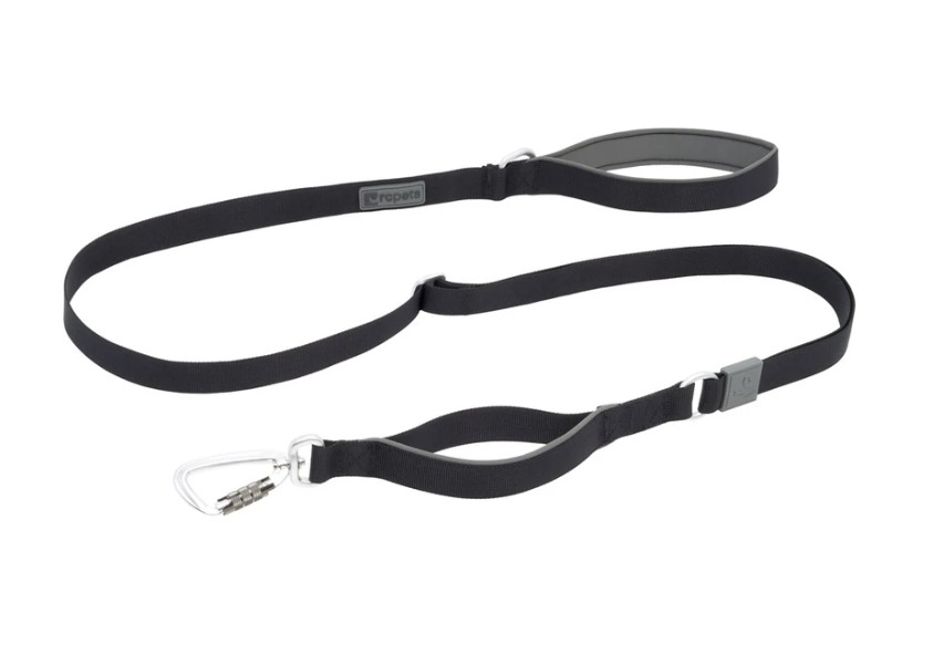 RCPETS - laisse stratus pour chien – Image 4