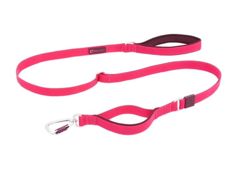 RCPETS - laisse stratus pour chien – Image 2
