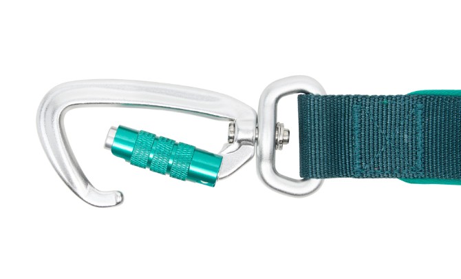 RCPETS - laisse stratus pour chien – Image 6