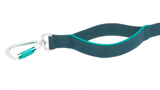RCPETS - laisse stratus pour chien – Image 5